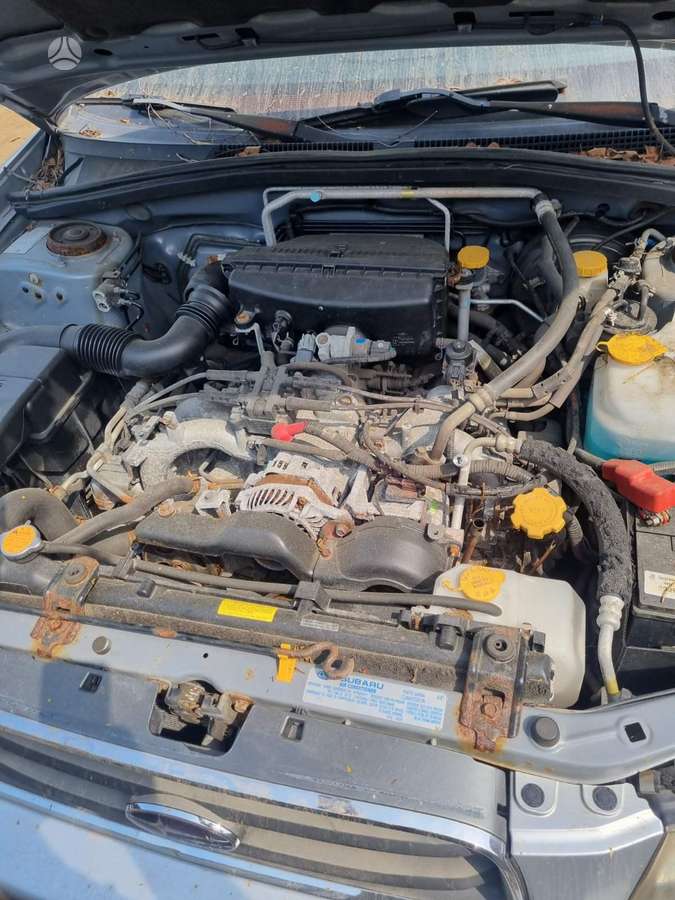 Subaru Forester Europa
