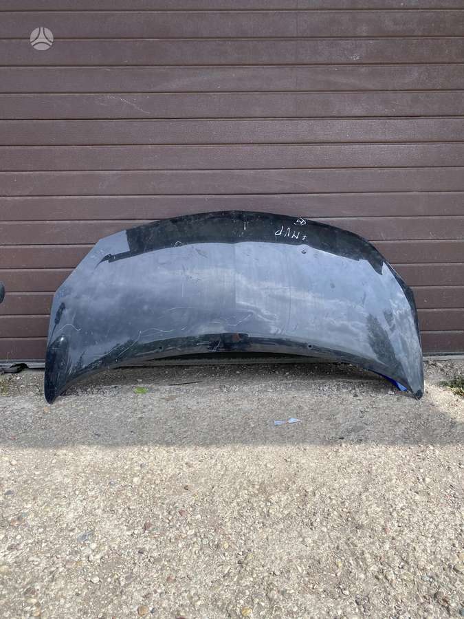 Renault Twingo kėbulo dalys