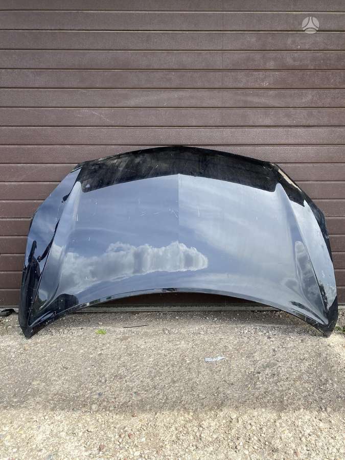Renault Koleos kėbulo dalys