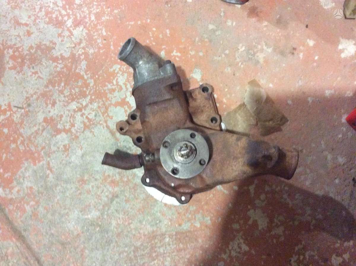 GAZ 24 salono detalės