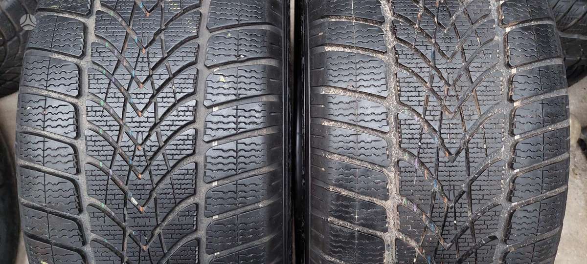 Dunlop, žieminės 255/50 R19