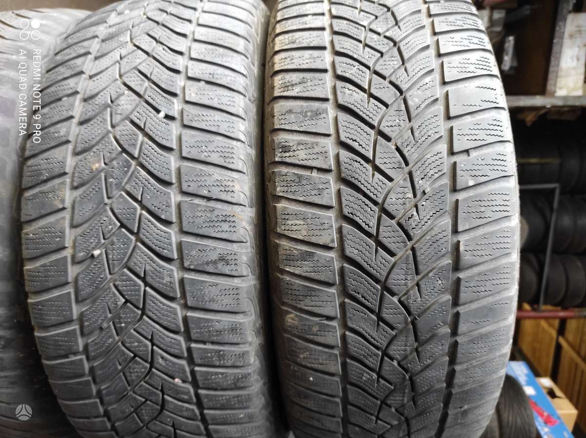 Michelin, зимние 225/50 R17