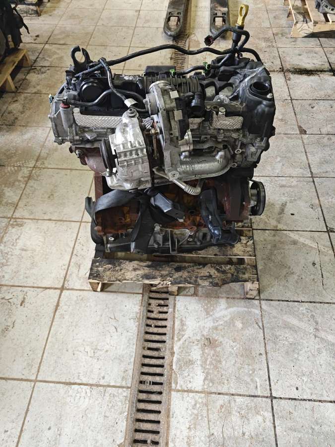 Ford Transit Custom, Ymf6