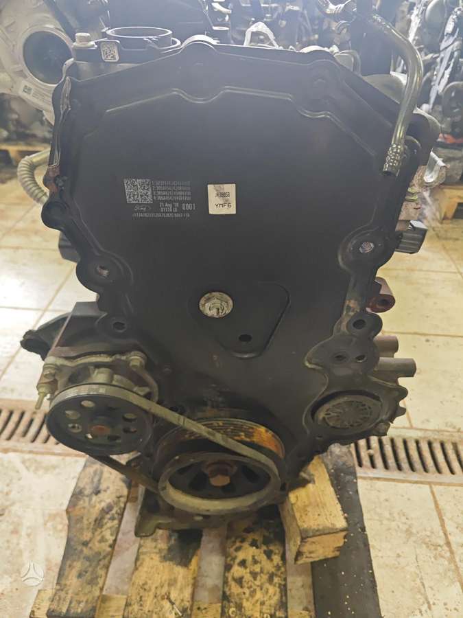 Ford Transit Custom, Ymf6