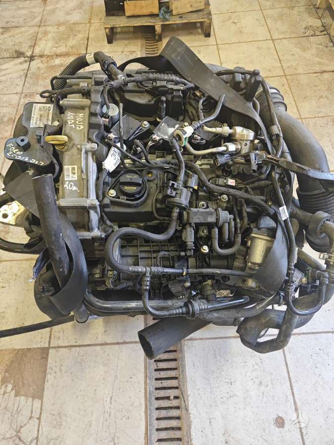Ford Fiesta, Mojb