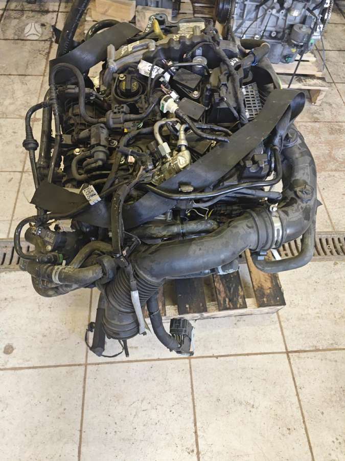 Ford Fiesta, Mojb