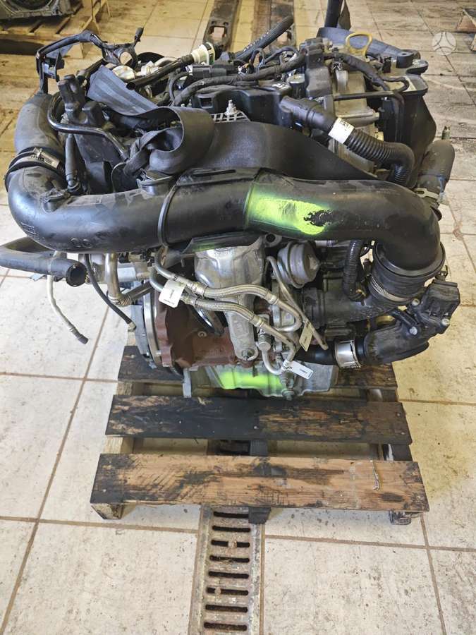 Ford Fiesta, Mojb