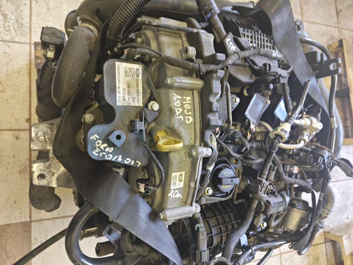 Ford Fiesta, Mojb