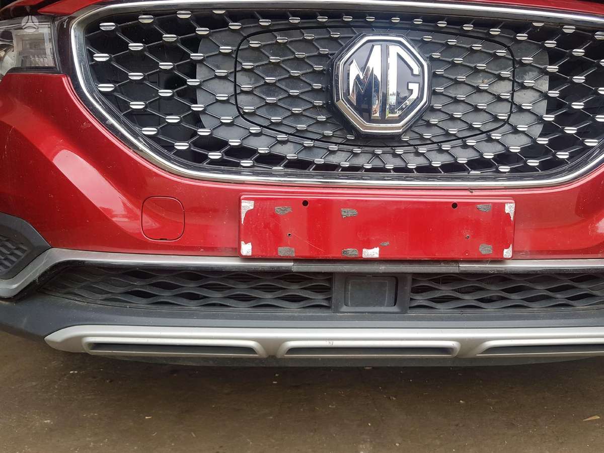 MG ZS Dalimis