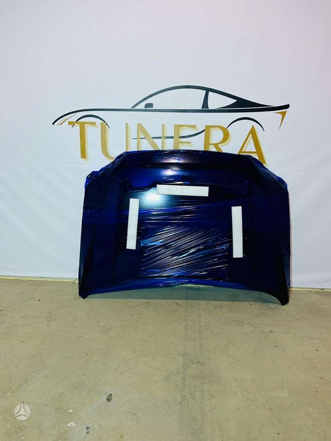Ford F-150 hood (front, rear)