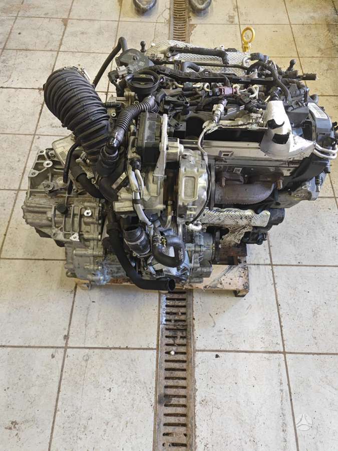 Volkswagen Tiguan, Dts, gearbox