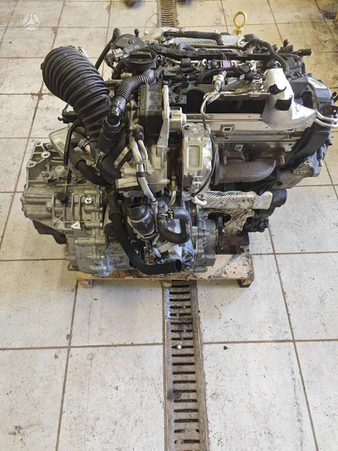 Audi Q3, Dts, gearbox
