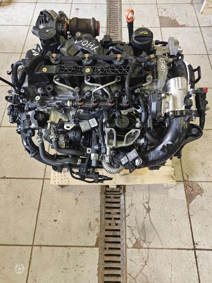 Peugeot 308, Yh01