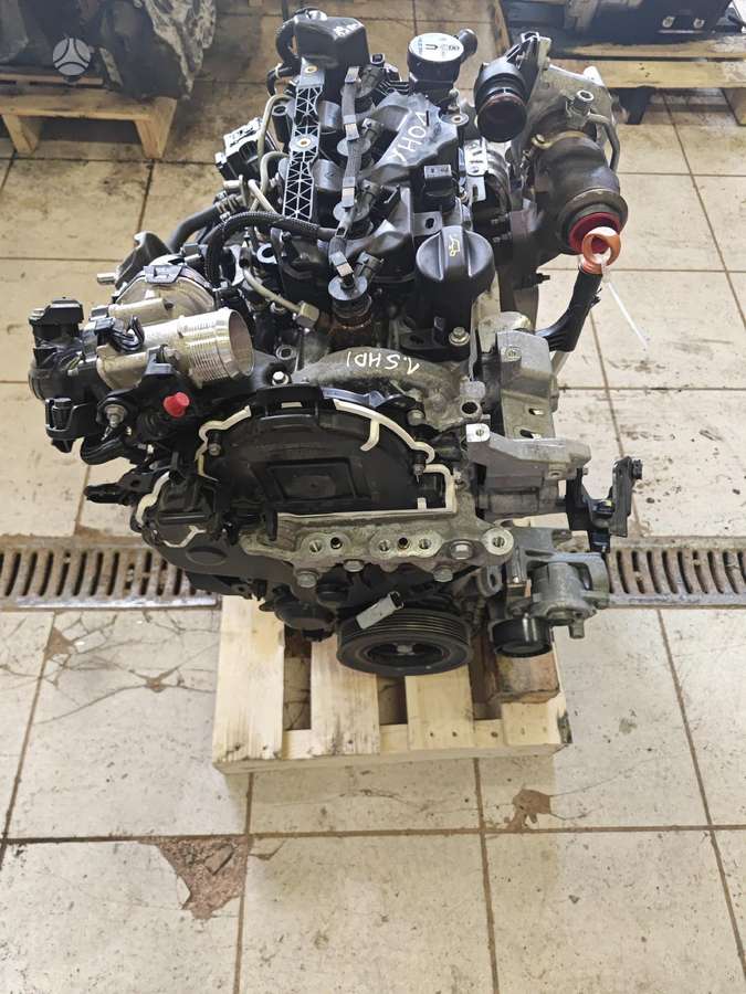 Peugeot 308, Yh01