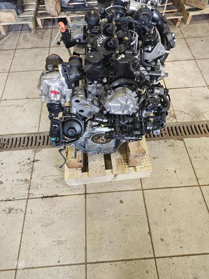 Peugeot 308, Yh01