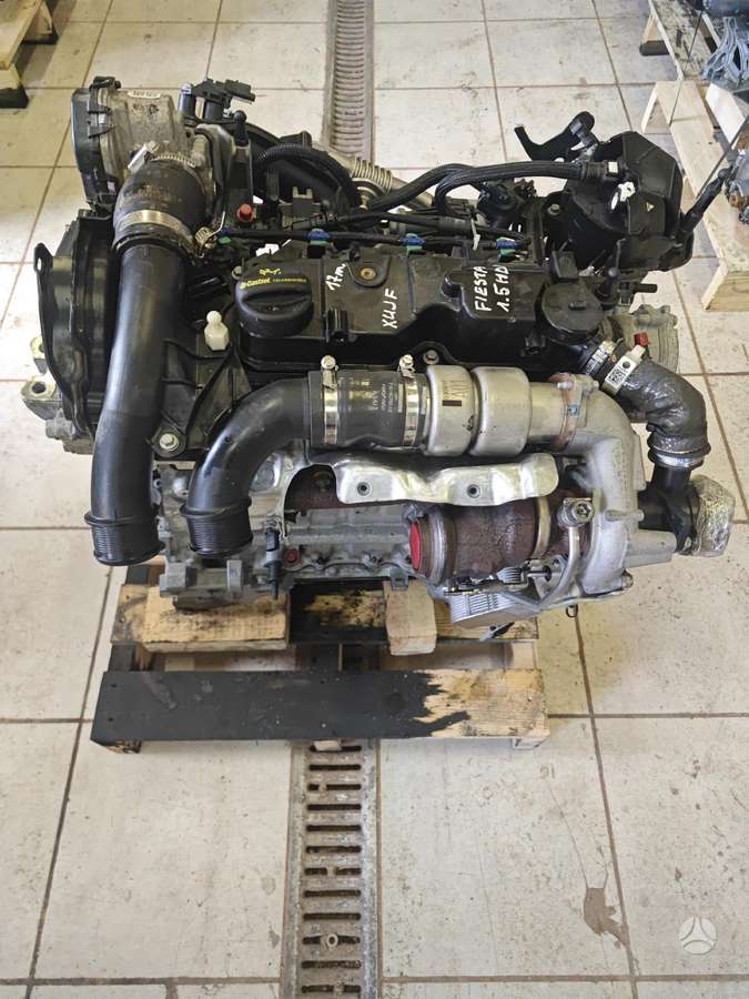 Ford Fiesta, Xujf