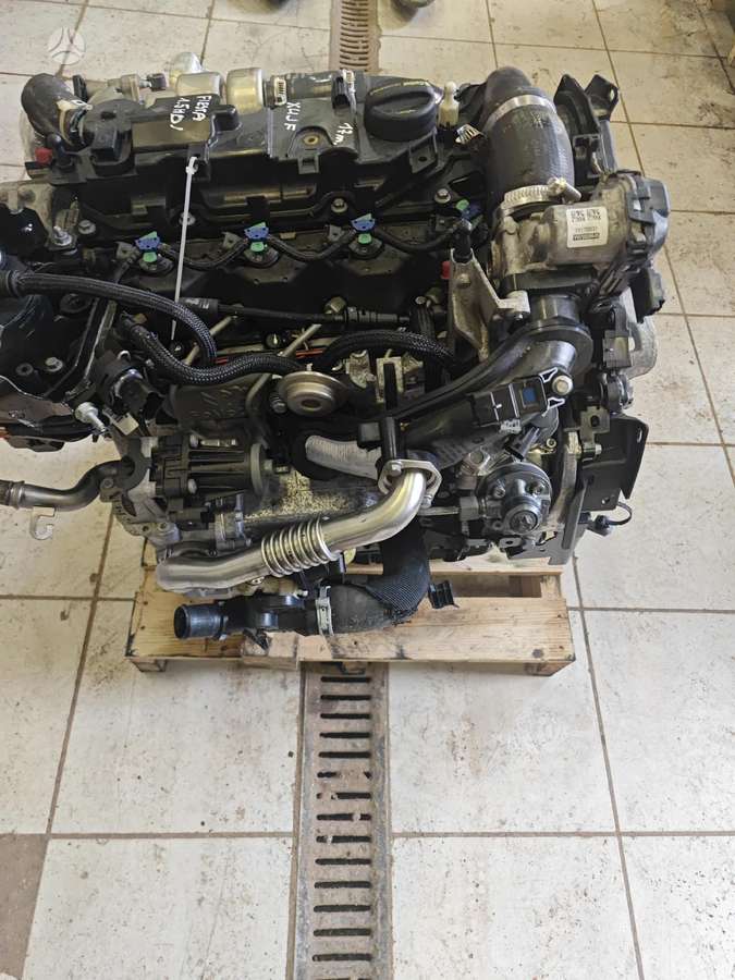 Ford Fiesta, Xujf