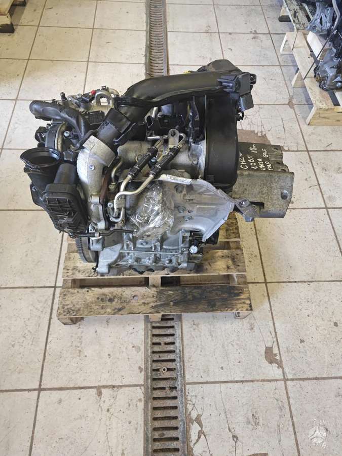 Volkswagen Golf, Chz