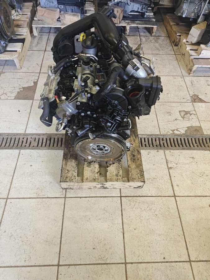 Volkswagen Golf, Chz