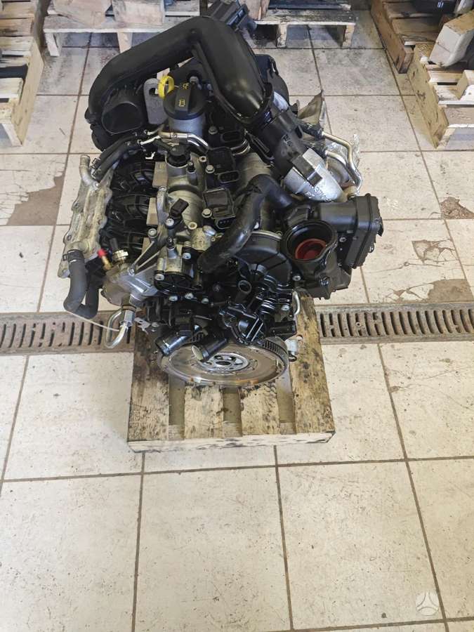 Seat Ibiza, Chz