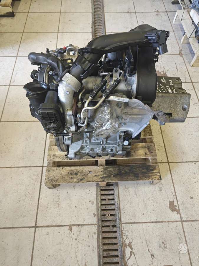 Seat Ibiza, Chz