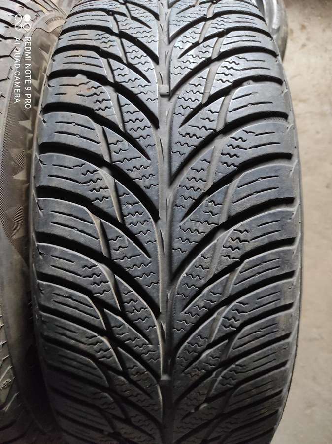 Michelin, žieminės 215/60 R16