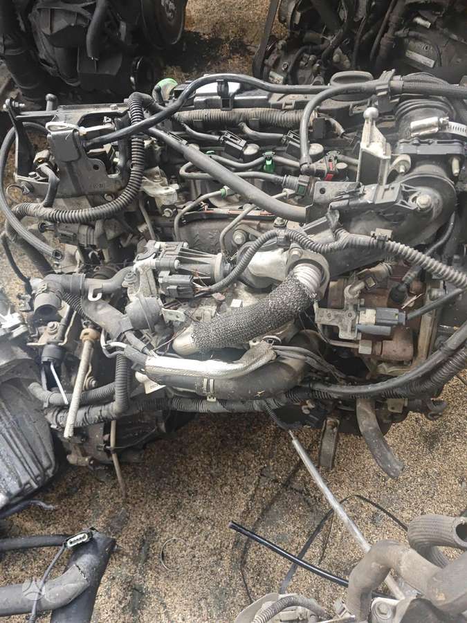 Ford Focus, T1da, gearbox, clutch kit