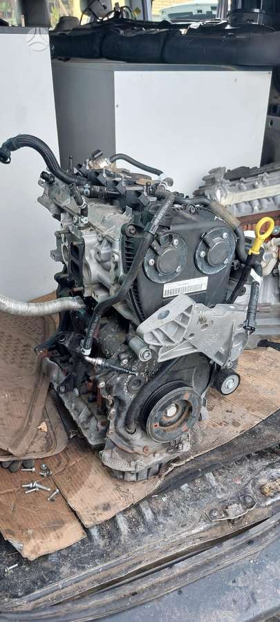 Volkswagen Tiguan, CZP