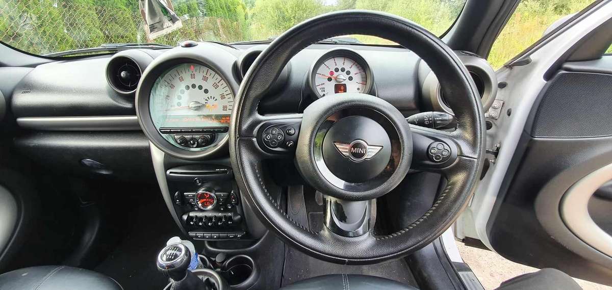 Mini Countryman Dalimis