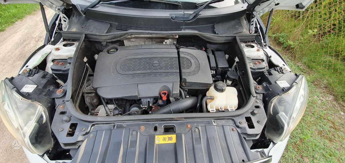 Mini Countryman Dalimis