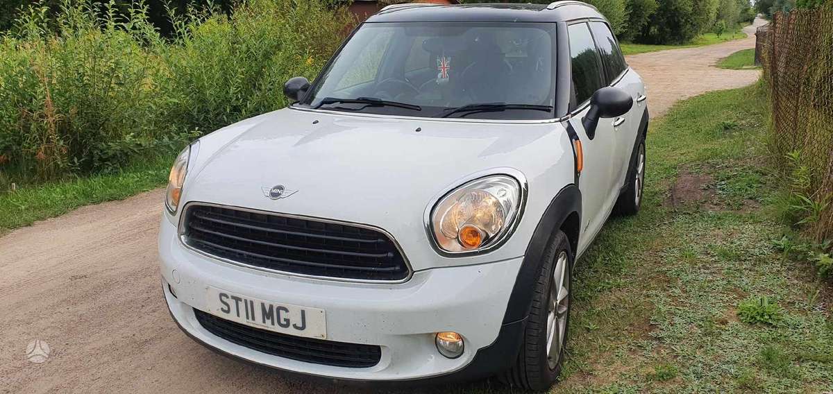 Mini Countryman Dalimis