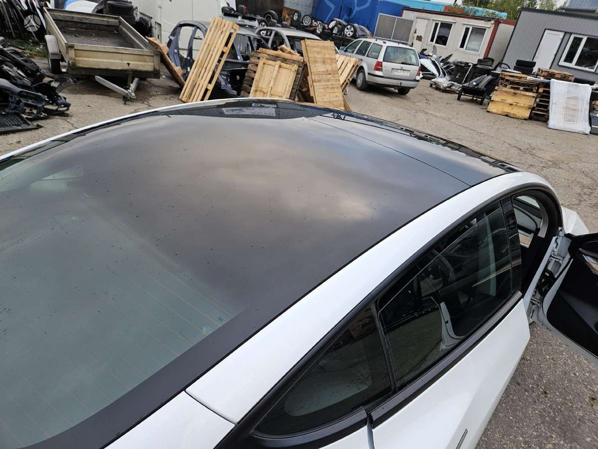 Tesla Model 3 Rida 49 000km