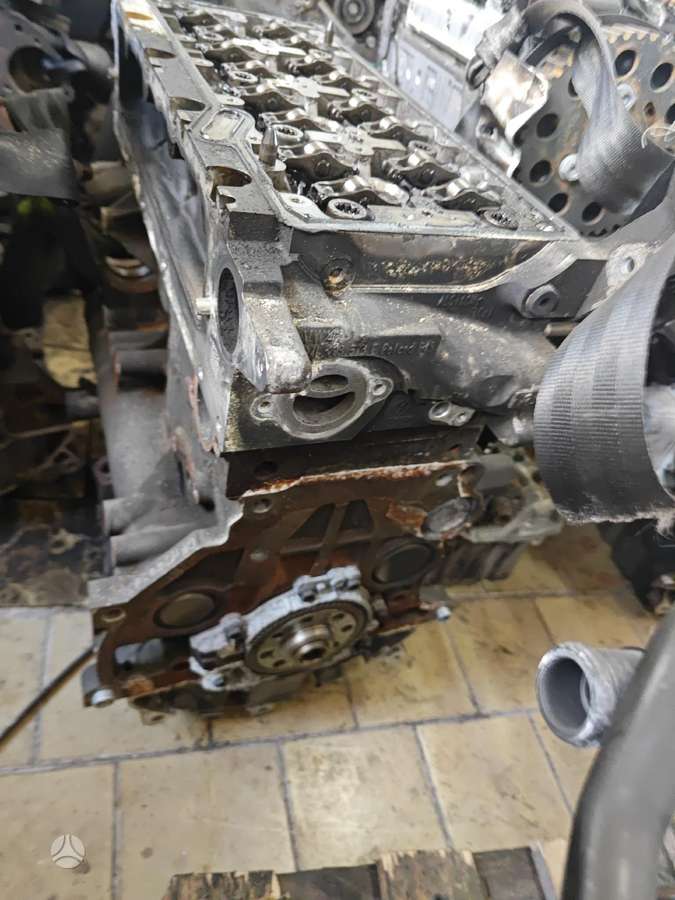 Volkswagen Passat, Dfh