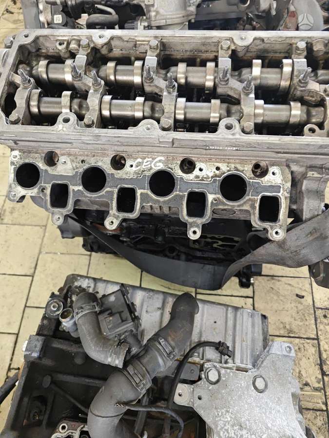 Skoda Octavia, Ceg, Turime ir dalimis
