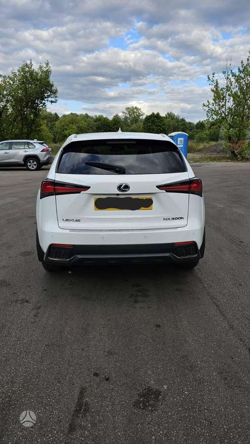 Lexus NX 300h dalimis