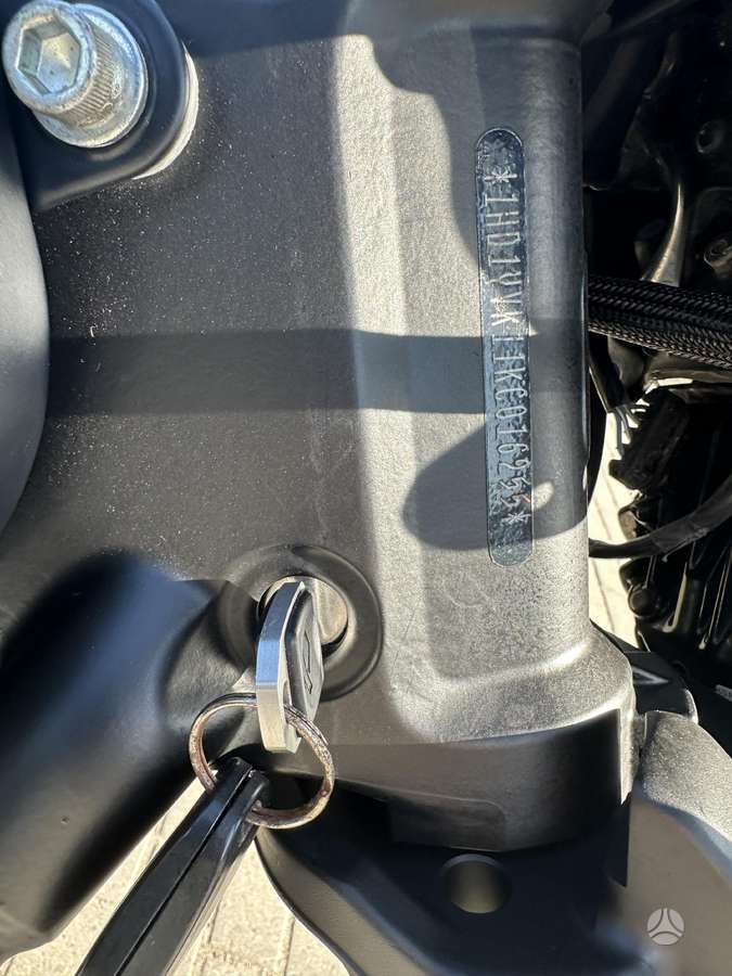 Harley-Davidson FXDR 1800cc, choppers / cruisers / custom