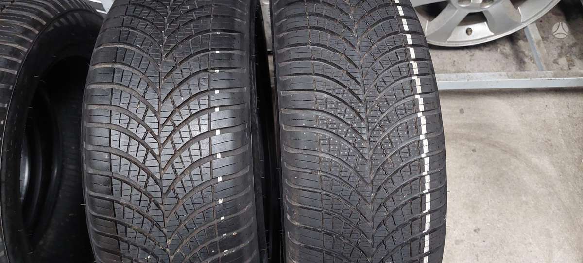 Goodyear, universalios 205/55 R17