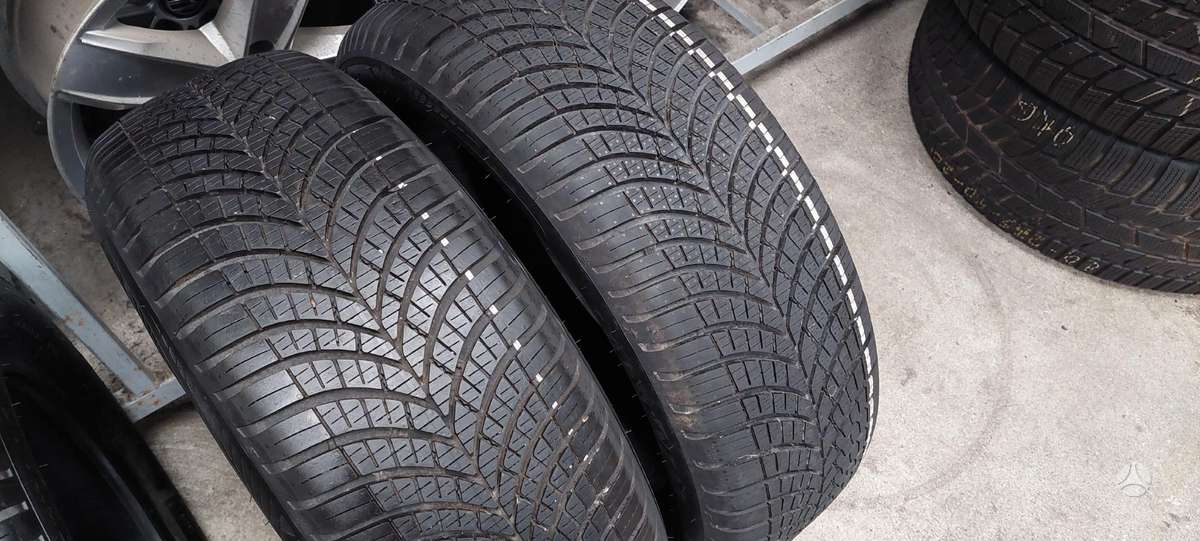 Goodyear, всесезонные 205/55 R17