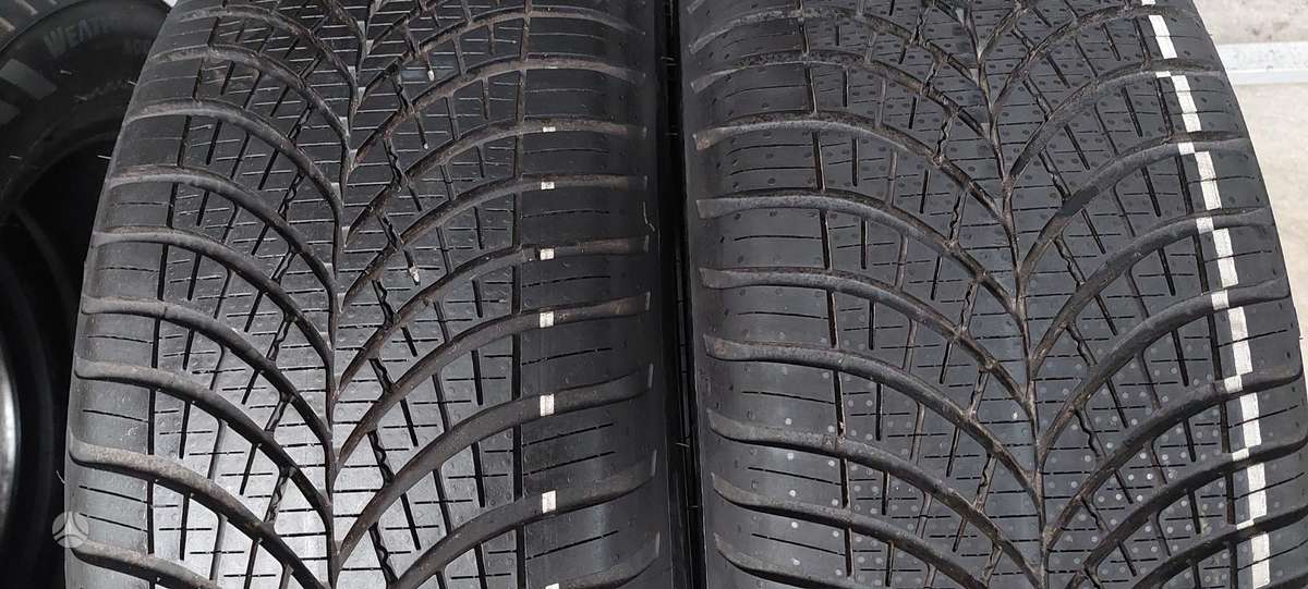 Goodyear, universalios 205/55 R17