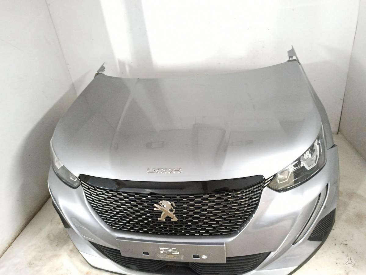 Peugeot 2008 kėbulo dalys