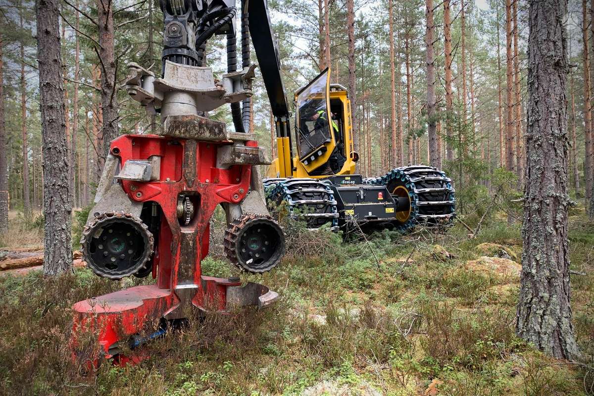 -Kita- Logmax, medkirtės