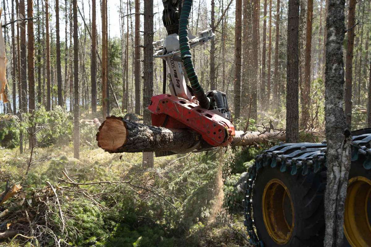 -Kita- Logmax, harvesteri