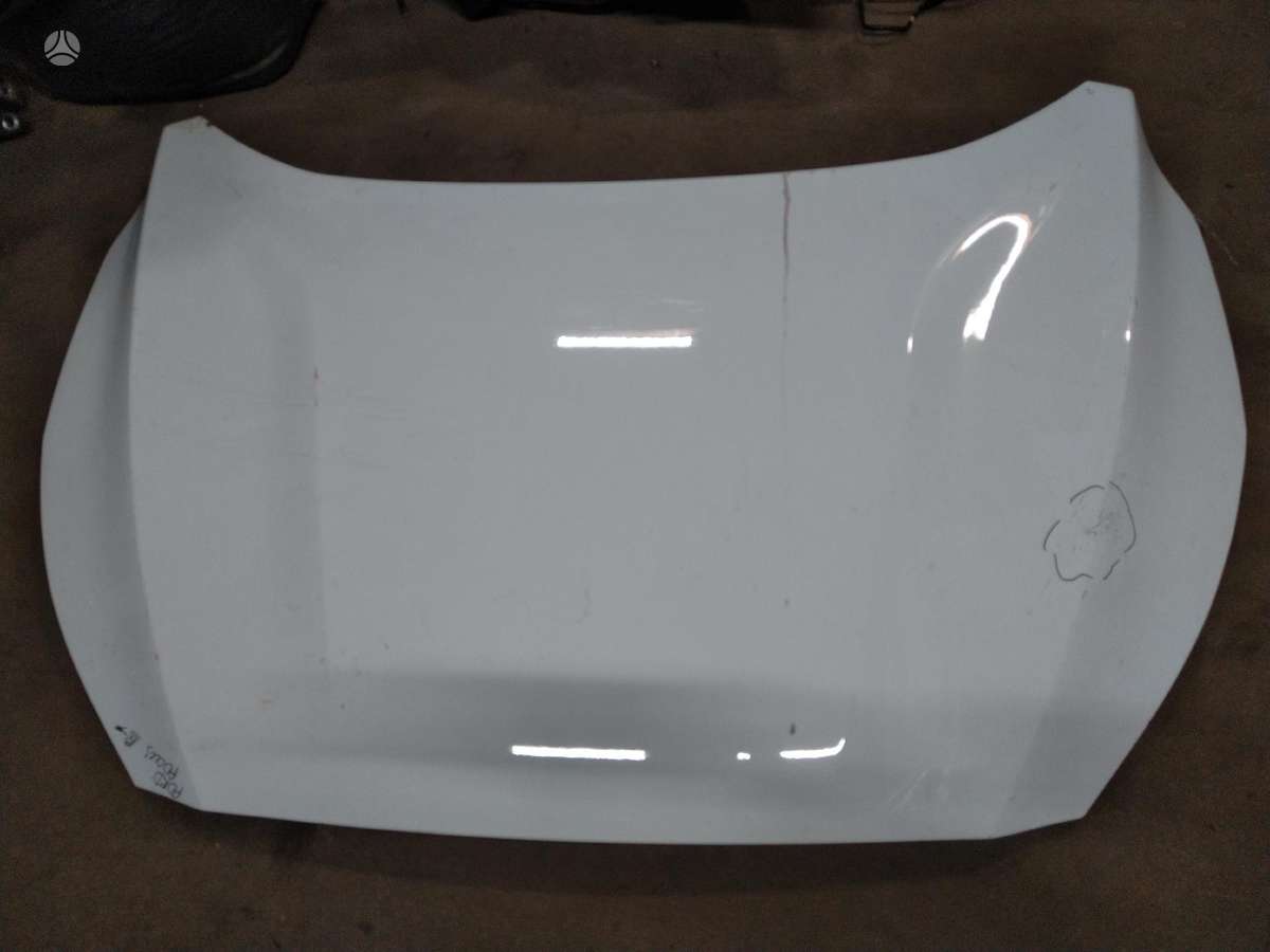 Ford Focus kėbulo dalys
