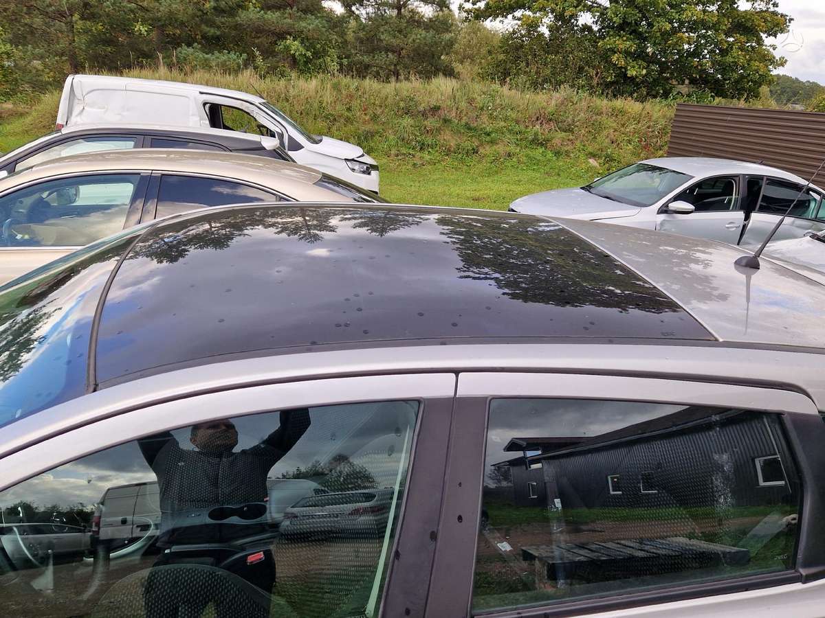 Nissan Qashqai dalimis