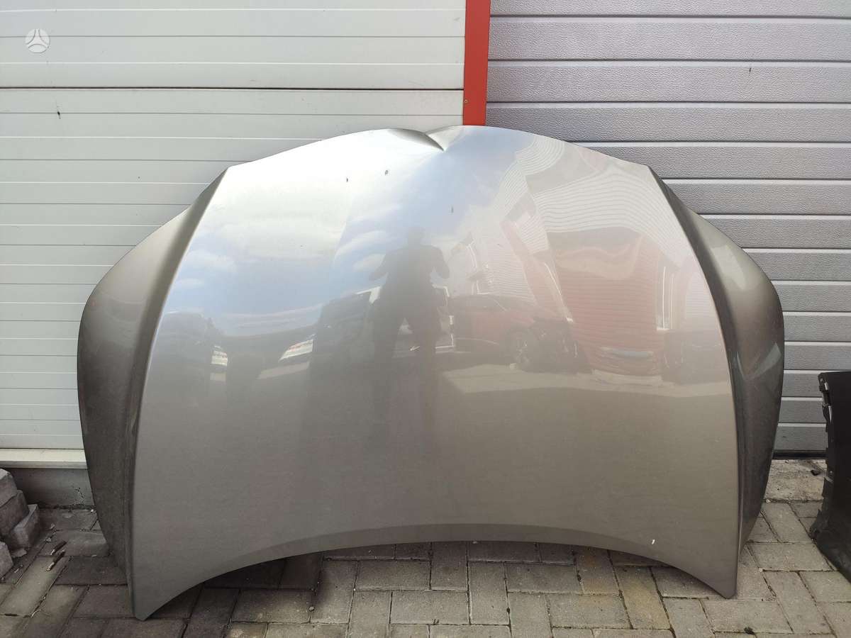Lexus RX 450h hood (front, rear)