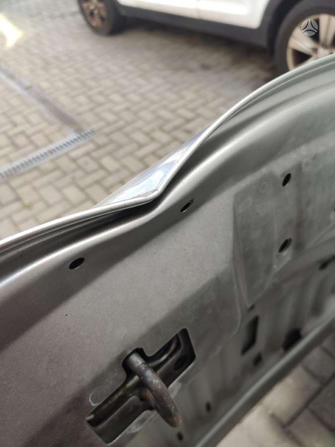 Lexus RX 450h hood (front, rear)