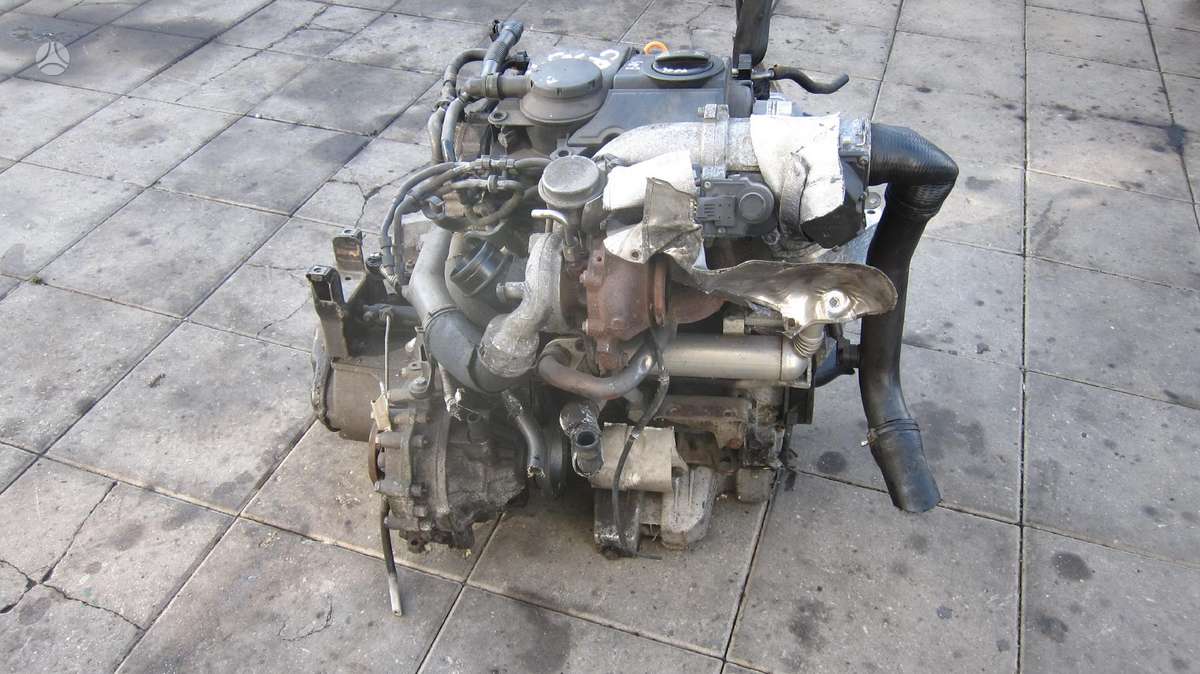 Volkswagen Polo Variklio kodas bms
