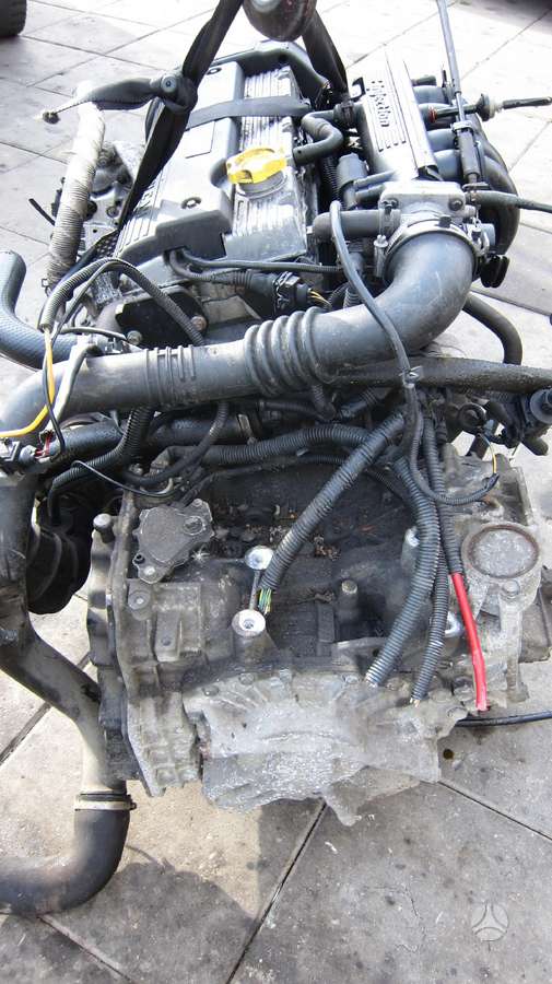 Rover 75 Variklio kodas k16 1 8tb