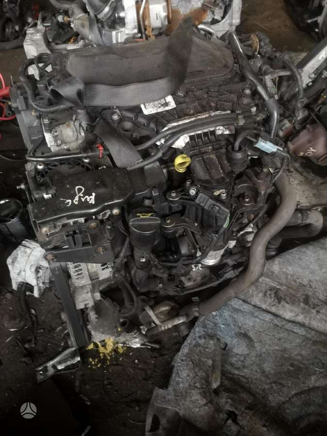 Ford Kuga, Ufda