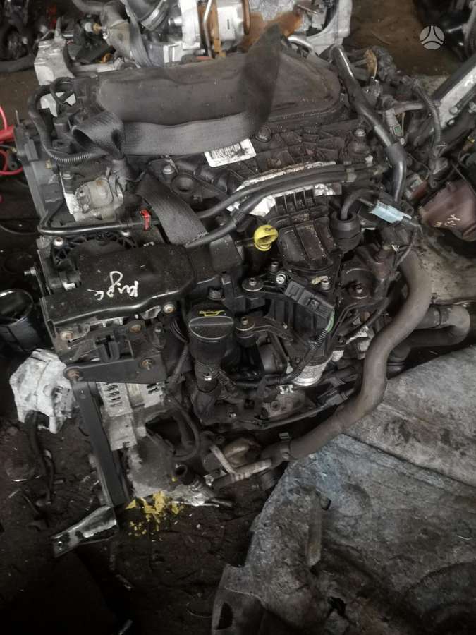 Ford Galaxy, Ufda